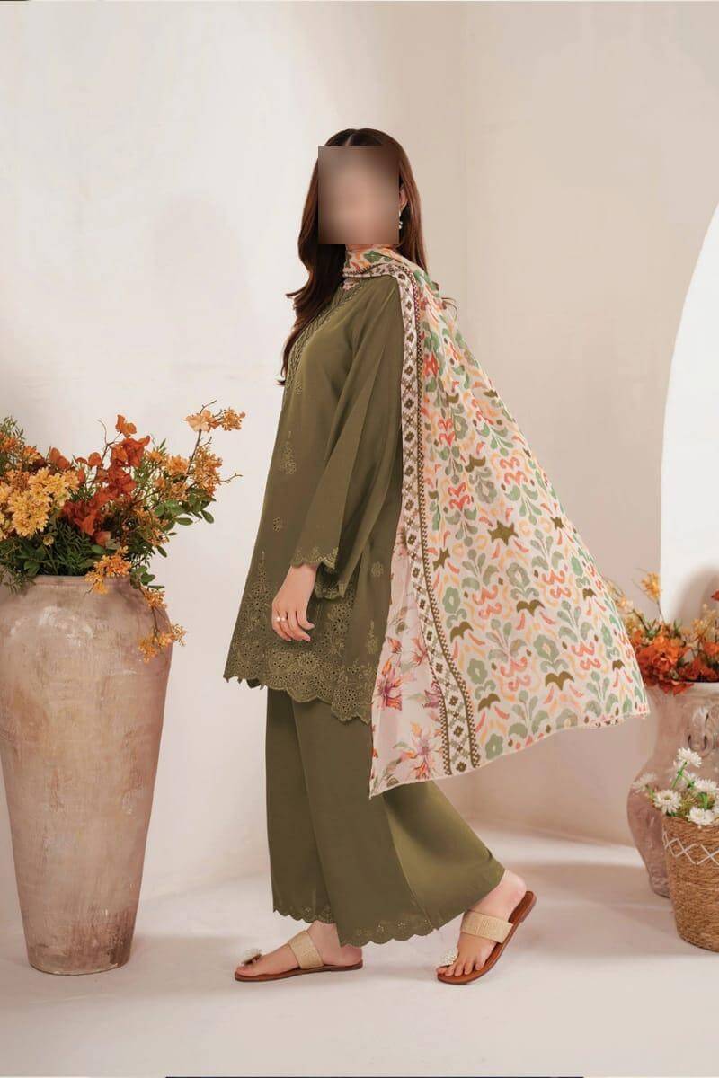 3 Pcs Women Chikankari Embroidered Suit -  Haseen Store