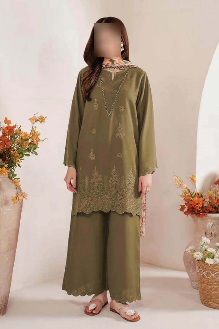 3 Pcs Women Chikankari Embroidered Suit -  Haseen Store