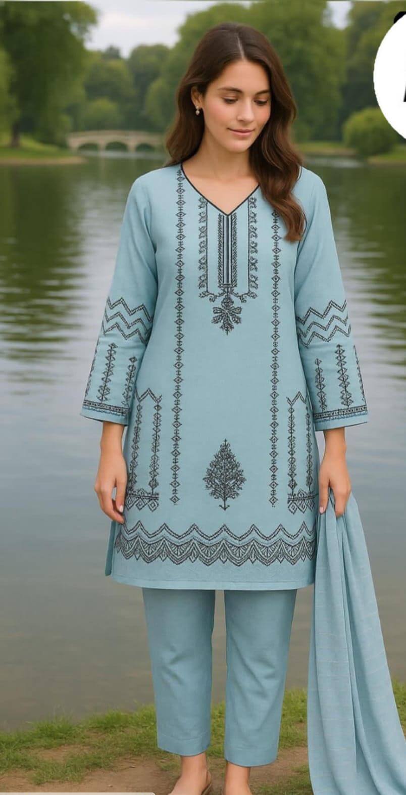 3 Pcs Women's Stitched Embroidered Suit 1 haseen.store 1