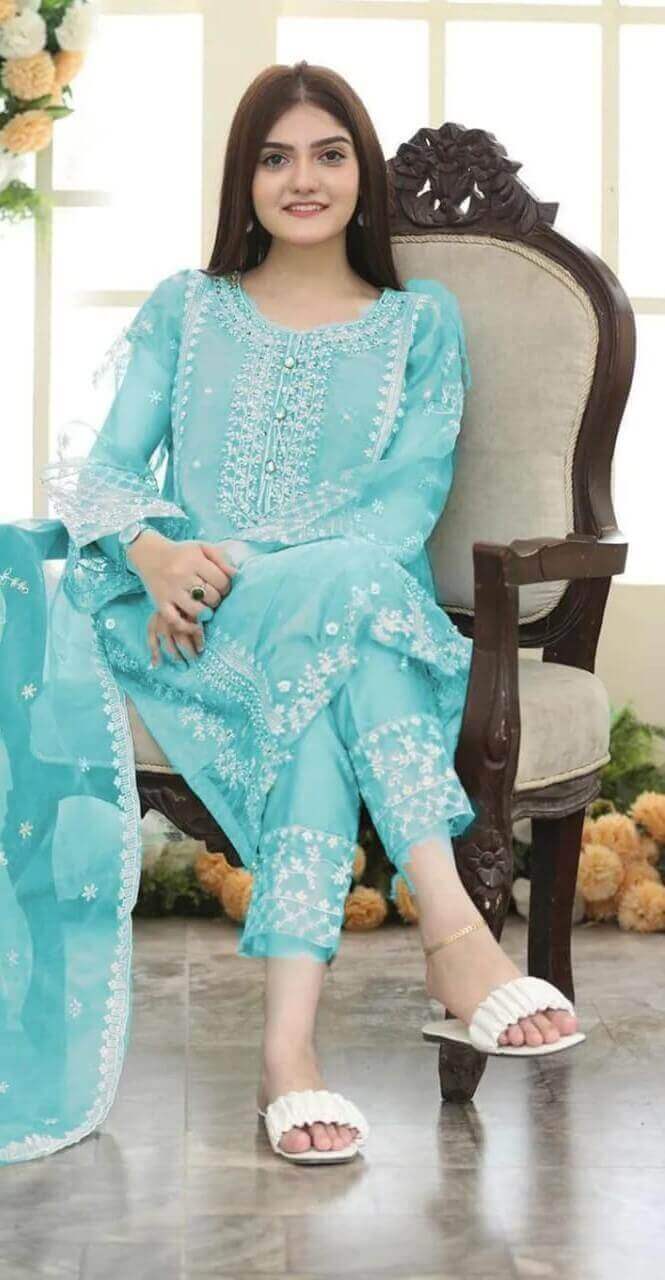3 Pcs Women's Stitched Organza Embroidered Suit 1  haseen.store