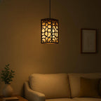 Ceiling Light  2  haseen store